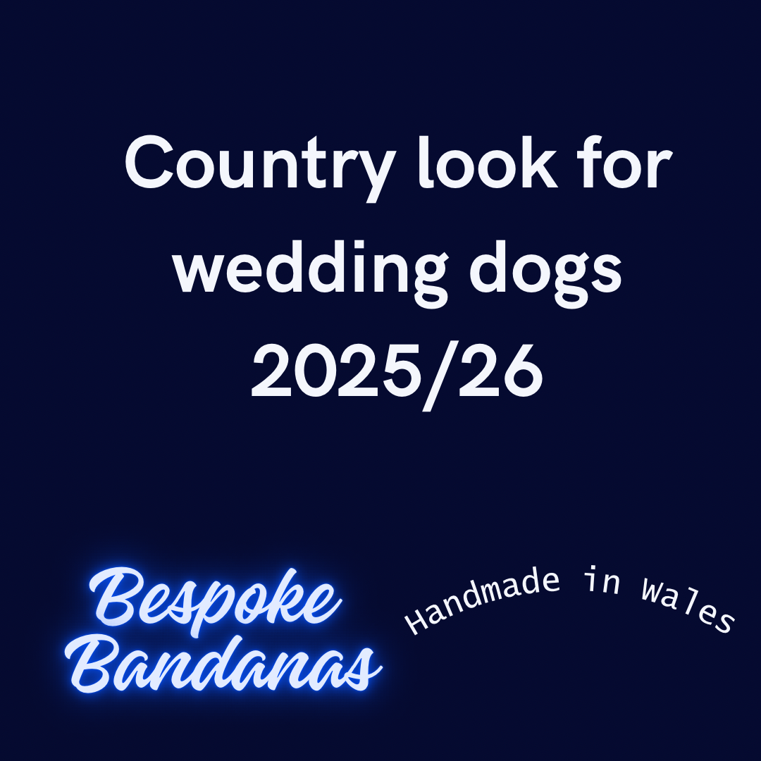 Country Vibes Wedding Bandana