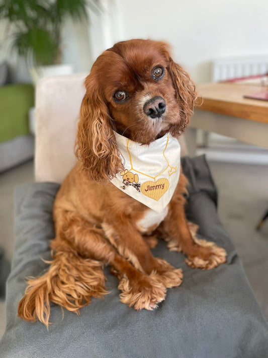 Gold Chain Luxury Pet Bandana