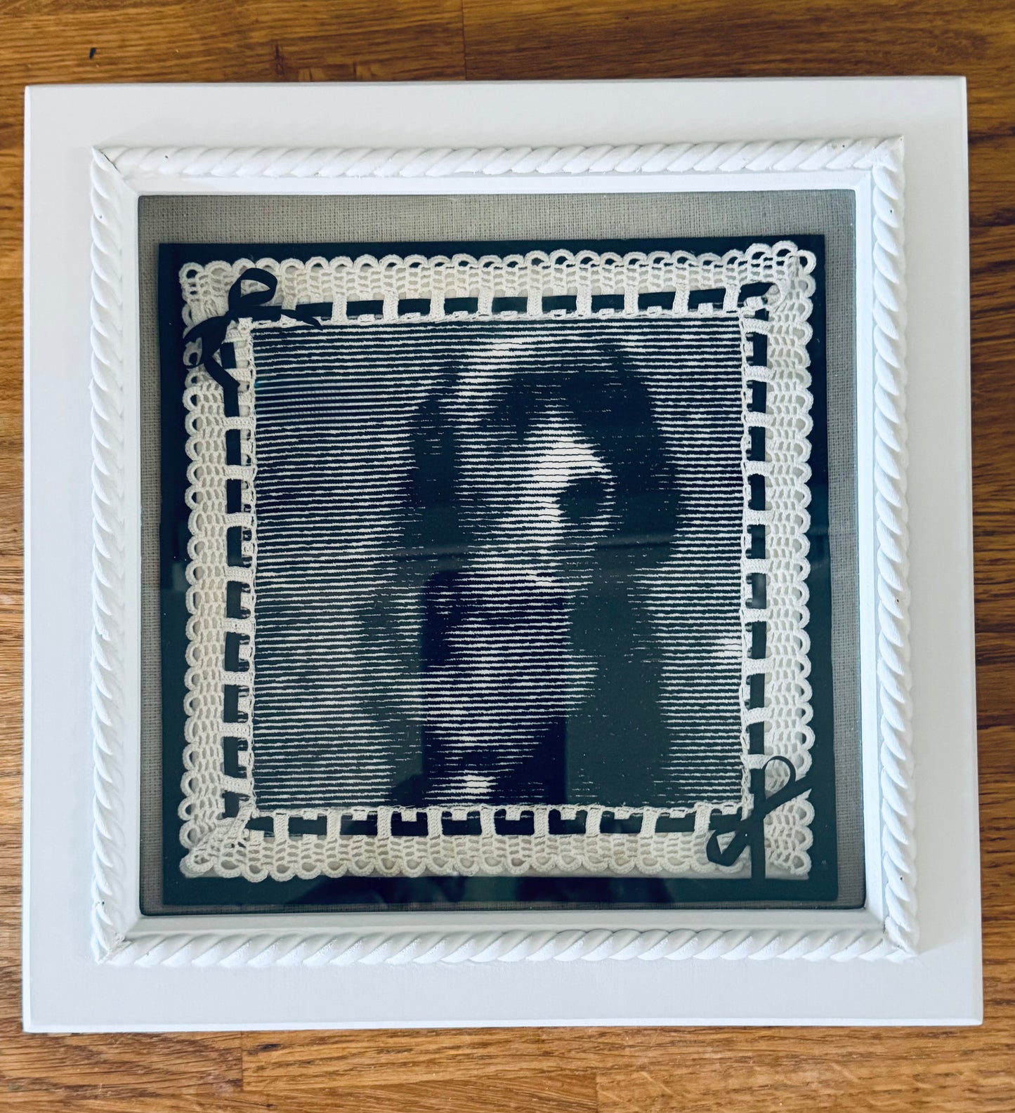 Embroidered Pet Portrait in Box Style Frame